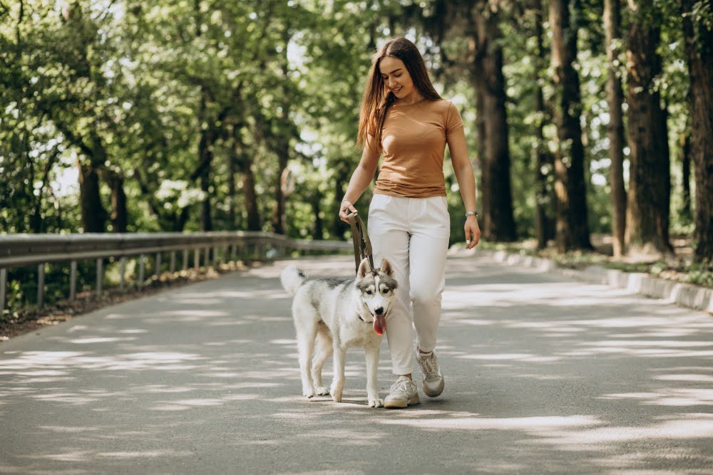 Tutora passeando com seu pet